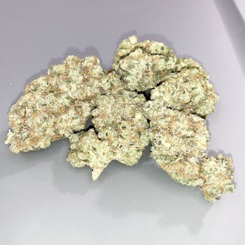 GMO-Cookies